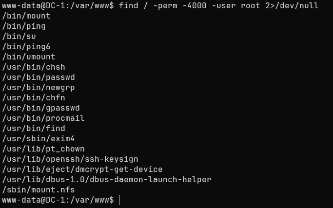 Identifying the find binary with the SUID bit