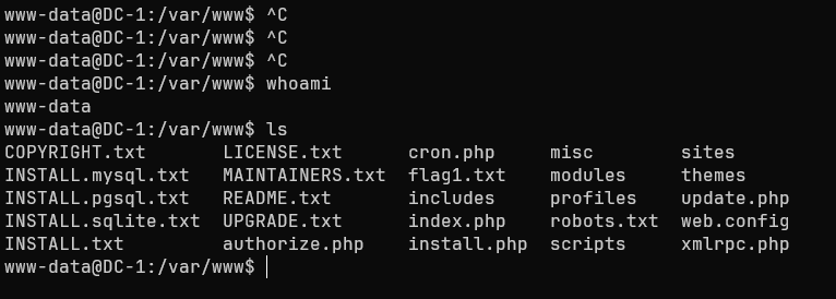 Interactive Reverse Shell established